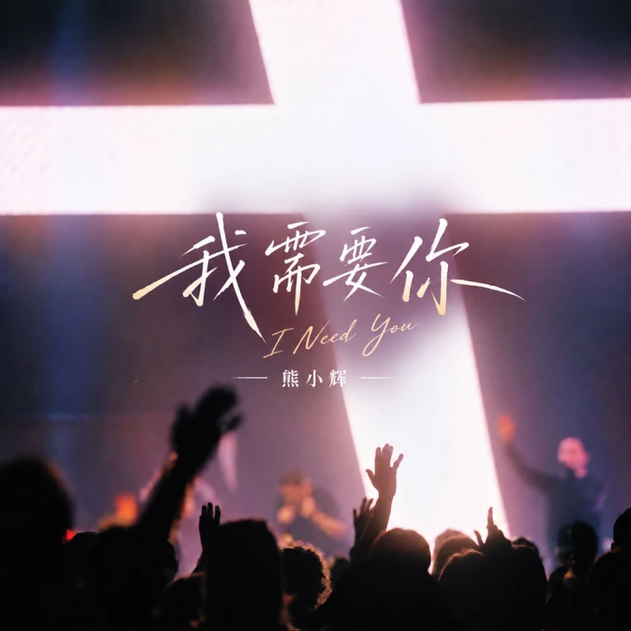 我需要你