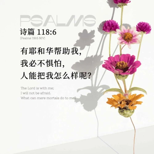 歌单封面加载中...